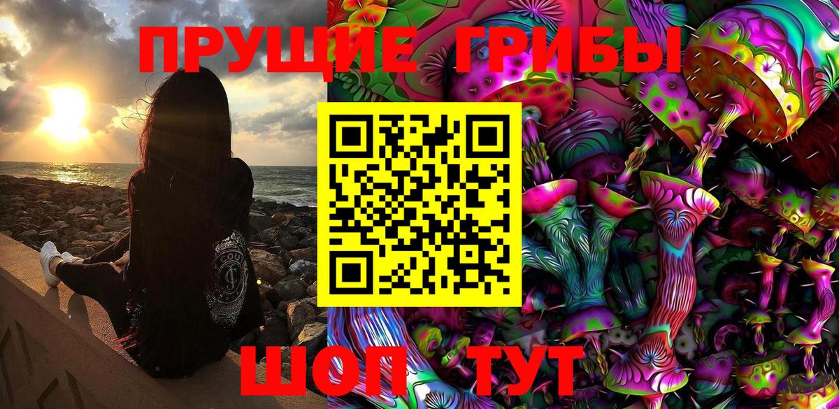 Псилоцибиновые грибы MAGIC MUSHROOMS  наркота  Стрежевой  Вход с VPN  Псилоцибиновые грибы Psilocybine cubensis 