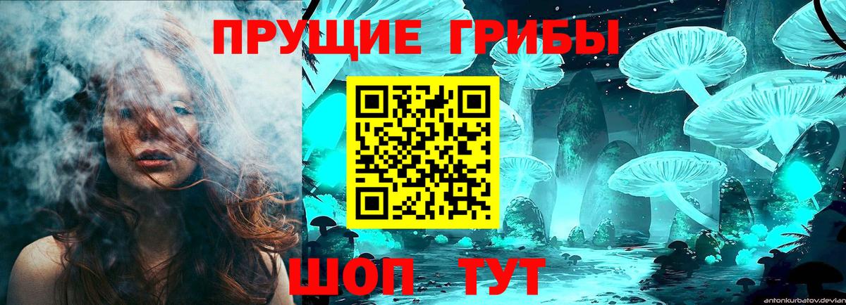 Псилоцибиновые грибы Psilocybe Стрежевой
